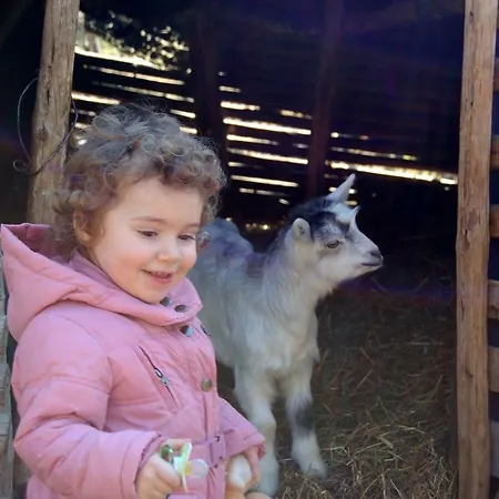 Vegetarium Guest Affittacamere Zhelen